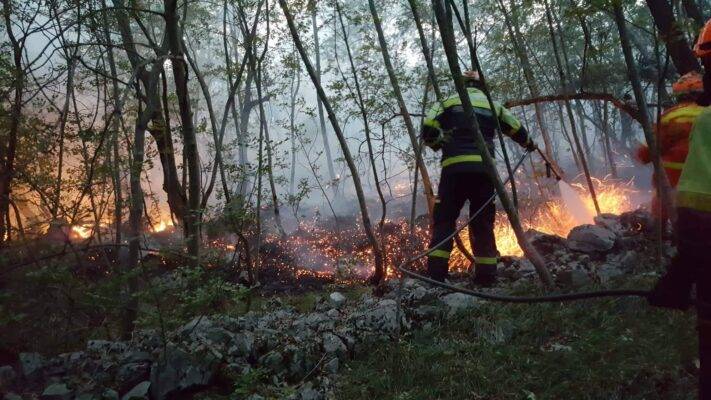 Povzetek delovanj GZ Ribnica na požaru na Krasu 4 Pozar Kras 2022 GZ Ribnica 6
