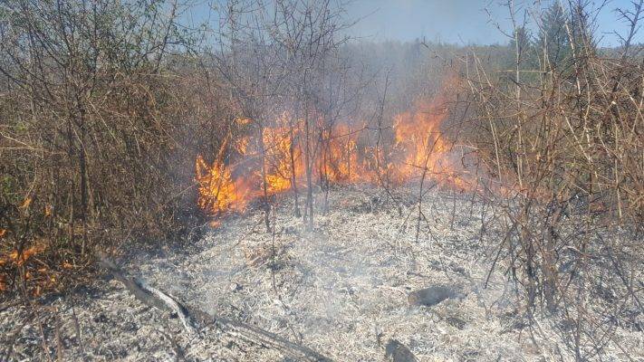 Sektorska vaja Dolenja vas PGD Grcarice Travniski pozar GZ Ribnica 2