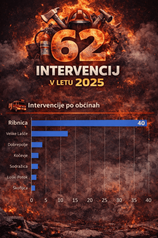 Statistika PGD Ribnica 2025